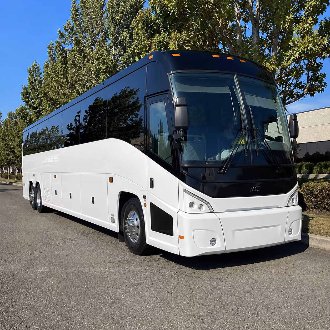 hollywood 50 passenger charter bus
