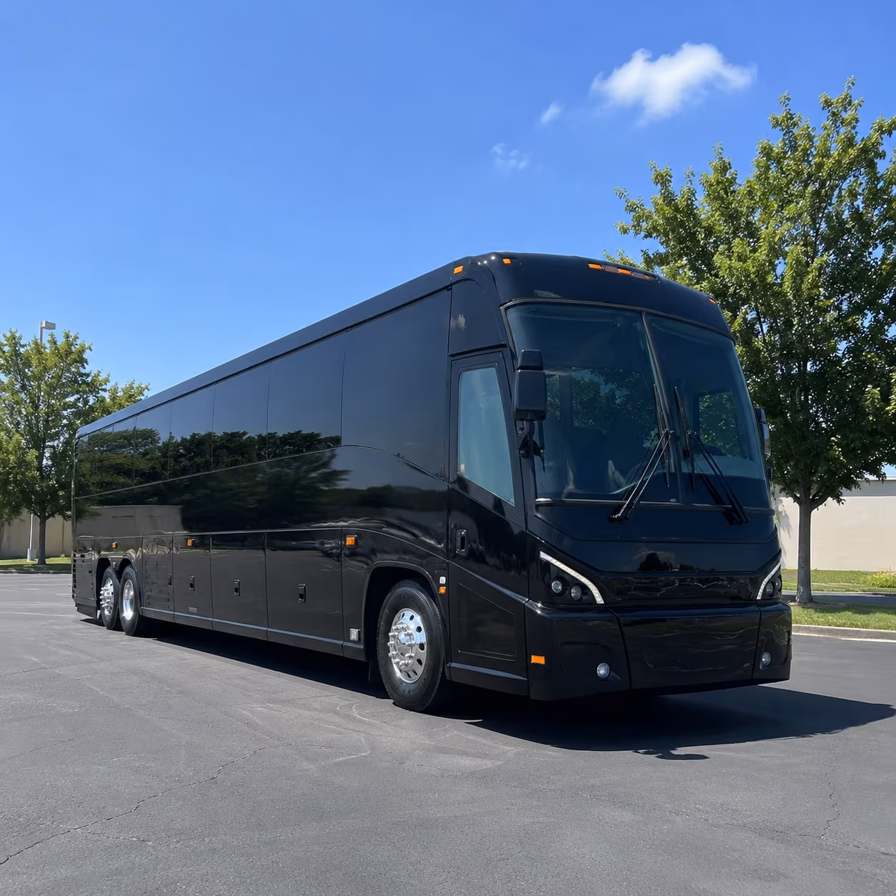 hollywood 56 passenger charter bus